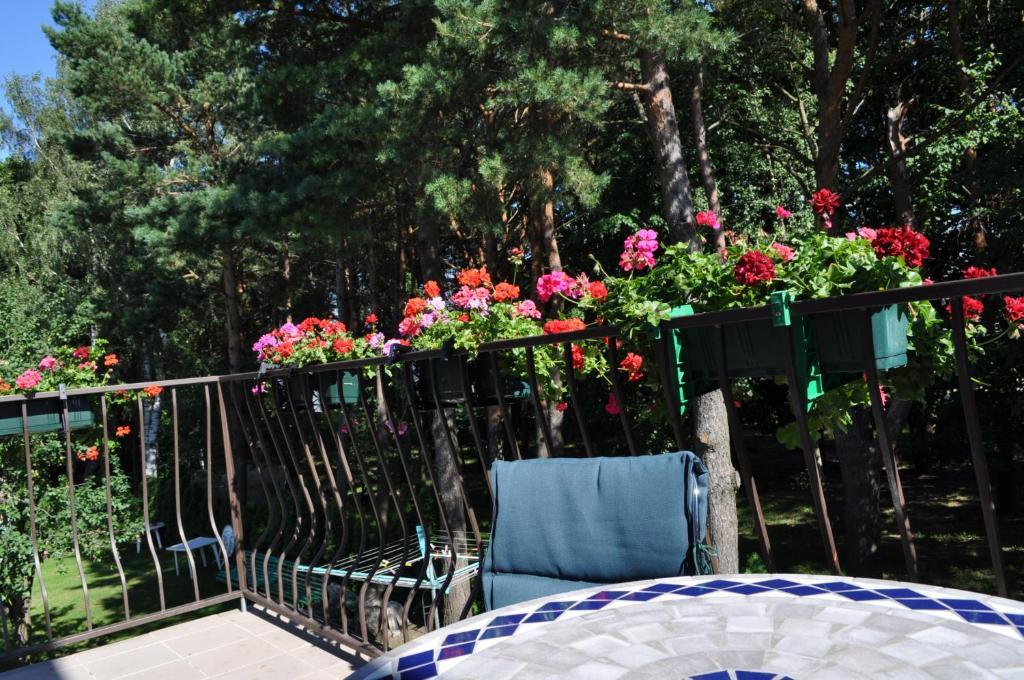 Villa Agava Palanga Esterno foto